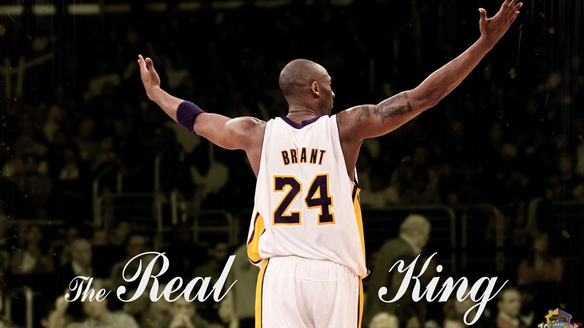 NBA球员专项技能动作科学训练方法，nba球员训练方式